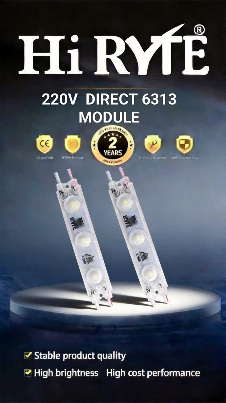 Hi RYTE - 220V DIRECT 6313 MODULE